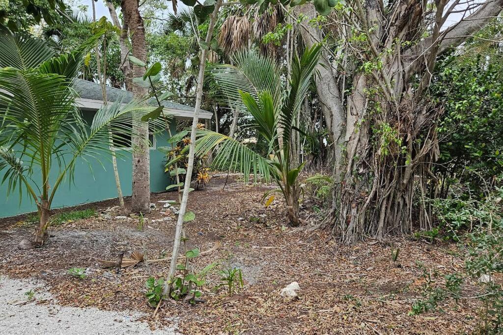 Blue Crab Dock On Gulf Canal Front Close 2 Beach Restaurants Bonita Springs Esterno foto